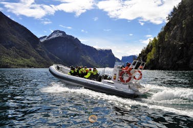 Tour guidato privato di un giorno a Sognefjorden e Flåm con un safari nel fiordo